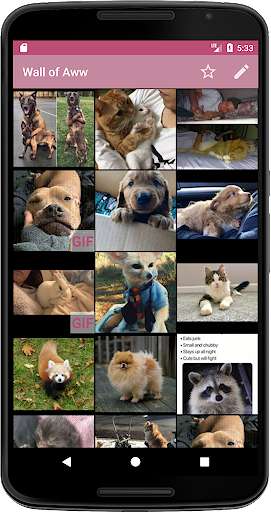 Run android online APK Infinite Aww (pet photos/gifs from reddit) from MyAndroid or emulate Infinite Aww (pet photos/gifs from reddit) using MyAndroid Run android online APK Infinite Aww (pet photos/gifs from reddit) from MyAndroid or emulate Infinite Aww (pet photos/gifs from reddit) using MyAndroid