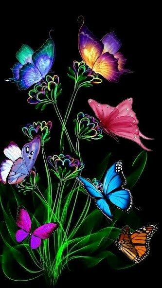 Run android online APK Infinix Wallpapers HD 4K from MyAndroid or emulate Infinix Wallpapers HD 4K using MyAndroid