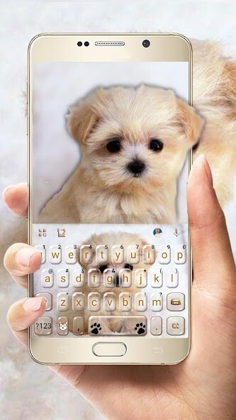 Run android online APK Innocent Puppy Keyboard Theme from MyAndroid or emulate Innocent Puppy Keyboard Theme using MyAndroid Run android online APK Innocent Puppy Keyboard Theme from MyAndroid or emulate Innocent Puppy Keyboard Theme using MyAndroid