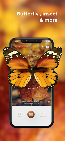 Run android online APK Insect ID- Bug identifier app from MyAndroid or emulate Insect ID- Bug identifier app using MyAndroid Run android online APK Insect ID- Bug identifier app from MyAndroid or emulate Insect ID- Bug identifier app using MyAndroid