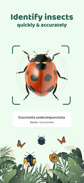 Run android online APK Insect ID: Bug identifier from MyAndroid or emulate Insect ID: Bug identifier using MyAndroid Run android online APK Insect ID: Bug identifier from MyAndroid or emulate Insect ID: Bug identifier using MyAndroid