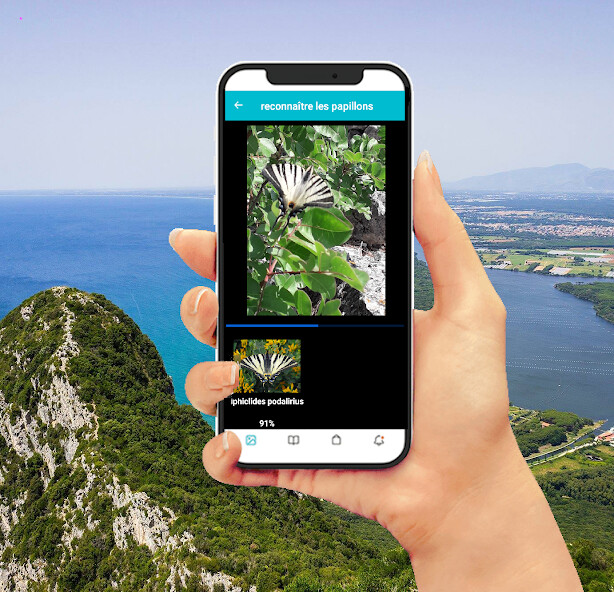Run android online APK Insect Identification from MyAndroid or emulate Insect Identification using MyAndroid Run android online APK Insect Identification from MyAndroid or emulate Insect Identification using MyAndroid