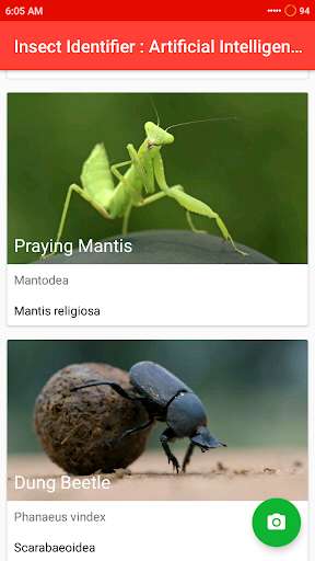 Run android online APK Insect Identifier : Artificial Intelligence from MyAndroid or emulate Insect Identifier : Artificial Intelligence using MyAndroid