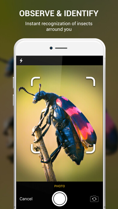Emulate iPhone app Insect identifier by photo using MyAndroid Emulate iPhone app Insect identifier by photo using MyAndroid