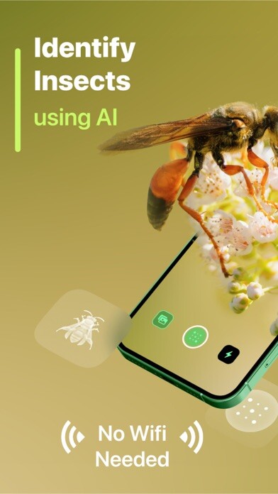 Run android online APK Insect identifier from MyAndroid or emulate Insect identifier using MyAndroid Run android online APK Insect identifier from MyAndroid or emulate Insect identifier using MyAndroid
