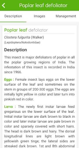 Run android online APK Insect Pests of Poplar from MyAndroid or emulate Insect Pests of Poplar using MyAndroid Run android online APK Insect Pests of Poplar from MyAndroid or emulate Insect Pests of Poplar using MyAndroid