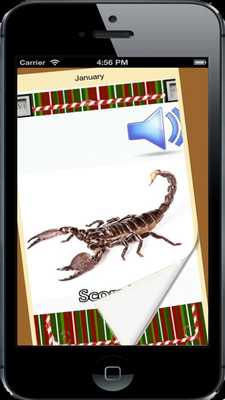 Emulate Android APK Insects for Info Kids Emulate Android APK Insects for Info Kids