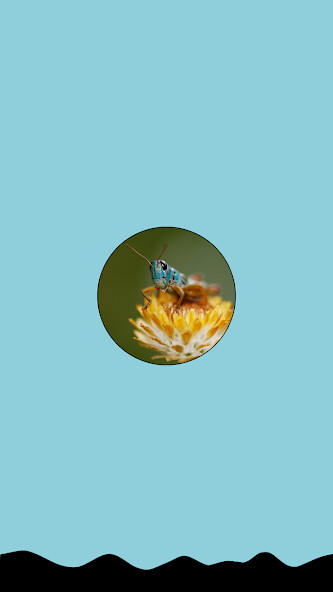 Run android online APK Insects of the Australian Alps from MyAndroid or emulate Insects of the Australian Alps using MyAndroid Run android online APK Insects of the Australian Alps from MyAndroid or emulate Insects of the Australian Alps using MyAndroid