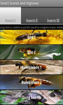 Emulate Android APK Insect sounds and ringtones Emulate Android APK Insect sounds and ringtones