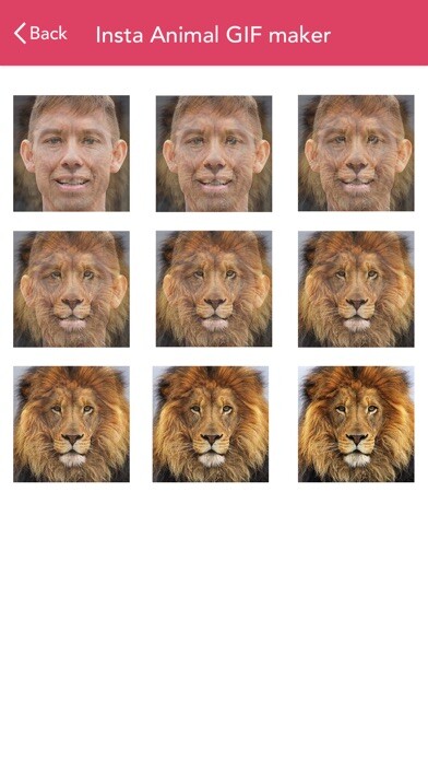 Emulate iPhone app Insta Animal Gif Creator using MyAndroid Emulate iPhone app Insta Animal Gif Creator using MyAndroid
