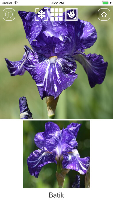 Emulate iPhone app Instant Iris using MyAndroid Emulate iPhone app Instant Iris using MyAndroid