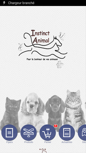 Run android online APK Instinct Animal Animalerie from MyAndroid or emulate Instinct Animal Animalerie using MyAndroid Run android online APK Instinct Animal Animalerie from MyAndroid or emulate Instinct Animal Animalerie using MyAndroid