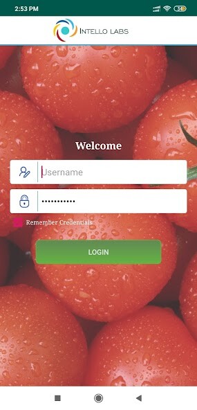 Run android online APK Intello Labs Store Tester from MyAndroid or emulate Intello Labs Store Tester using MyAndroid Run android online APK Intello Labs Store Tester from MyAndroid or emulate Intello Labs Store Tester using MyAndroid
