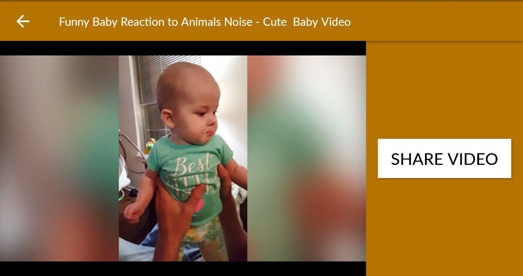 Run android online APK Internet Funny Videos from MyAndroid or emulate Internet Funny Videos using MyAndroid Run android online APK Internet Funny Videos from MyAndroid or emulate Internet Funny Videos using MyAndroid