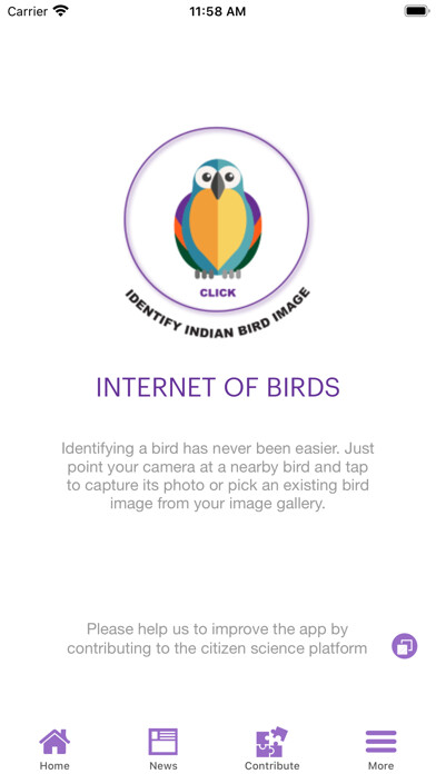Run android online APK Internet of Birds from MyAndroid or emulate Internet of Birds using MyAndroid Run android online APK Internet of Birds from MyAndroid or emulate Internet of Birds using MyAndroid