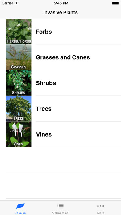 Emulate iPhone app Invasives in Southern Forests using MyAndroid Emulate iPhone app Invasives in Southern Forests using MyAndroid