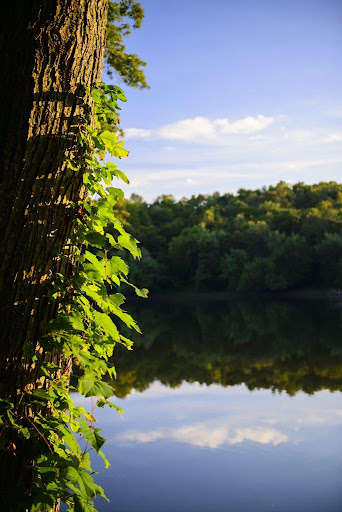 Run android online APK Iowa Nature Wallpapers from MyAndroid or emulate Iowa Nature Wallpapers using MyAndroid Run android online APK Iowa Nature Wallpapers from MyAndroid or emulate Iowa Nature Wallpapers using MyAndroid