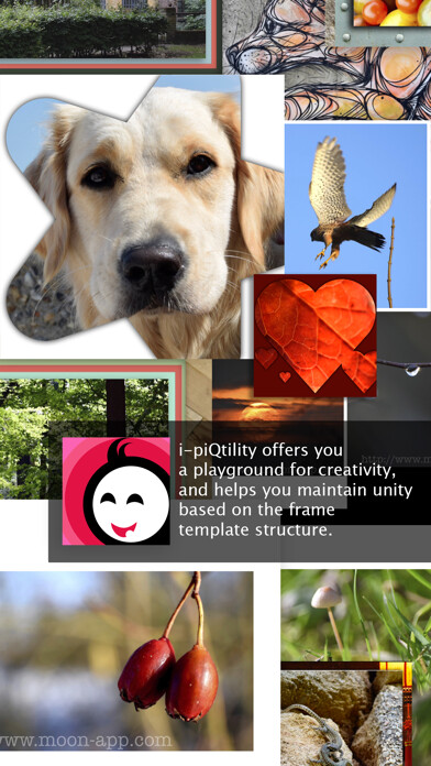 Emulate iPhone app i-piQtility for photos using MyAndroid