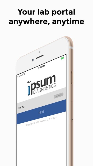 Emulate iPhone app Ipsum Diagnostics using MyAndroid