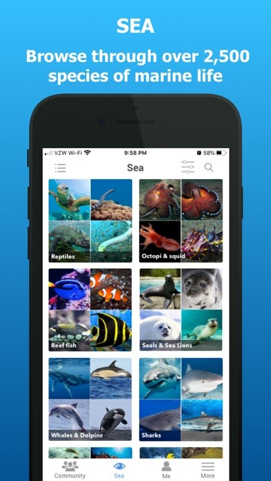 Emulate iPhone app iSea Marine ID using MyAndroid Emulate iPhone app iSea Marine ID using MyAndroid