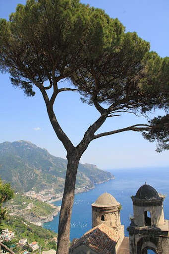 Run android online APK Italy Wallpaper Travel from MyAndroid or emulate Italy Wallpaper Travel using MyAndroid Run android online APK Italy Wallpaper Travel from MyAndroid or emulate Italy Wallpaper Travel using MyAndroid