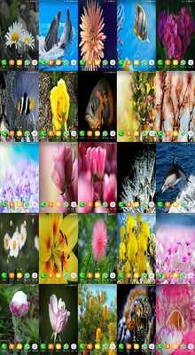Emulate Android APK J3 HD Wallpapers Emulate Android APK J3 HD Wallpapers