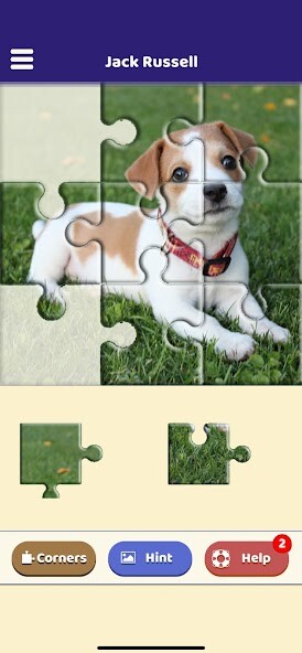 Run android online APK Jack Russell Puzzle from MyAndroid or emulate Jack Russell Puzzle using MyAndroid Run android online APK Jack Russell Puzzle from MyAndroid or emulate Jack Russell Puzzle using MyAndroid