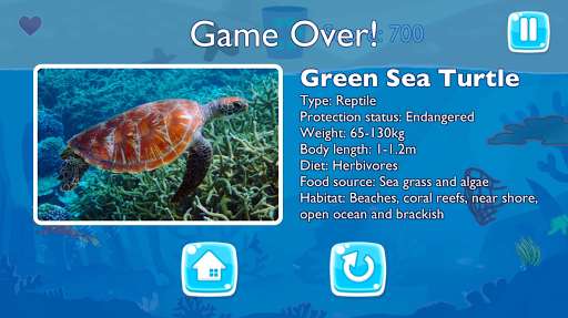 Run android online APK Jack the Super Prawn: Ocean Hero from MyAndroid or emulate Jack the Super Prawn: Ocean Hero using MyAndroid