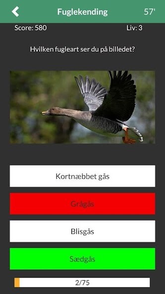 Run android online APK JagtQuiz: Teori til Jagttegn from MyAndroid or emulate JagtQuiz: Teori til Jagttegn using MyAndroid