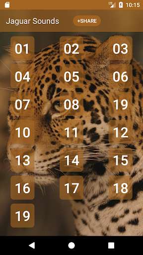 Run android online APK Jaguar (Animal) Sounds from MyAndroid or emulate Jaguar (Animal) Sounds using MyAndroid