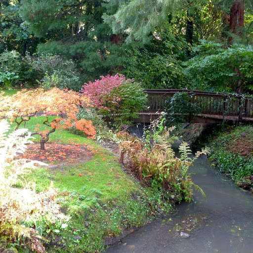 Run android online APK Japanese Garden Wallpapers from MyAndroid or emulate Japanese Garden Wallpapers using MyAndroid Run android online APK Japanese Garden Wallpapers from MyAndroid or emulate Japanese Garden Wallpapers using MyAndroid