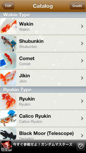 Emulate Android APK Japanese Goldfish Emulate Android APK Japanese Goldfish
