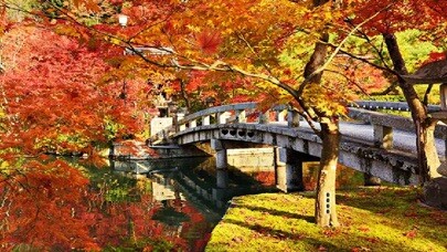 Emulate iPhone app Japanese Park Escape using MyAndroid