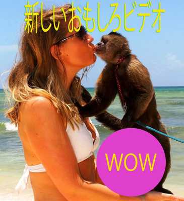 Emulate Android APK Japan Funny Videos Emulate Android APK Japan Funny Videos