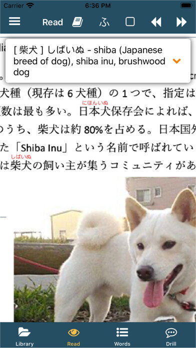 Emulate iPhone app Japan Reader using MyAndroid