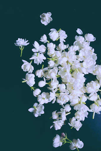 Run android online APK Jasmine Wallpapers from MyAndroid or emulate Jasmine Wallpapers using MyAndroid Run android online APK Jasmine Wallpapers from MyAndroid or emulate Jasmine Wallpapers using MyAndroid