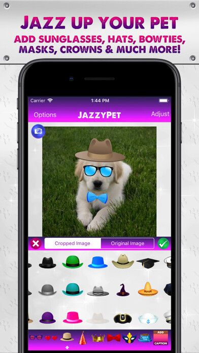 Emulate iPhone app JazzyPet using MyAndroid Emulate iPhone app JazzyPet using MyAndroid