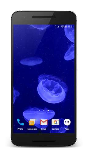 Run android online APK Jellyfishes 4K Live Wallpaper from MyAndroid or emulate Jellyfishes 4K Live Wallpaper using MyAndroid Run android online APK Jellyfishes 4K Live Wallpaper from MyAndroid or emulate Jellyfishes 4K Live Wallpaper using MyAndroid