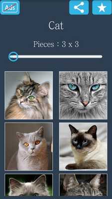 Emulate Android APK Jigsaw Puzzle: Cat