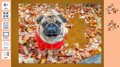 Emulate iPhone app Jigsaw Puzzles for iPad Pro using MyAndroid