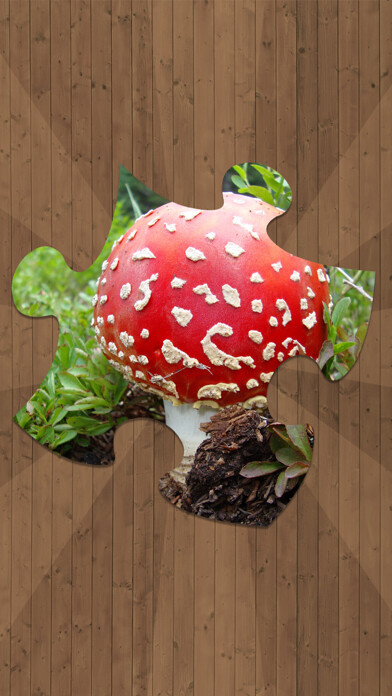 Emulate iPhone app Jigsaw Puzzles - Logical Game for Kids and Adults using MyAndroid Emulate iPhone app Jigsaw Puzzles - Logical Game for Kids and Adults using MyAndroid