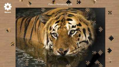 Emulate iPhone app Jigsaw Puzzle X using MyAndroid Emulate iPhone app Jigsaw Puzzle X using MyAndroid
