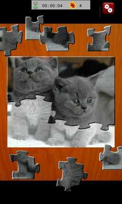 Emulate Android APK Jigsaw Quest Cats