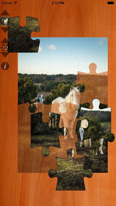 Emulate Android APK Jigsaws