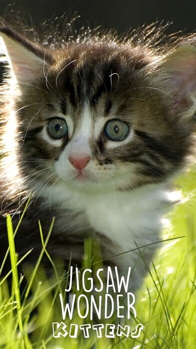 Emulate iPhone app Jigsaw Wonder Kittens Puzzles for Kids using MyAndroid Emulate iPhone app Jigsaw Wonder Kittens Puzzles for Kids using MyAndroid