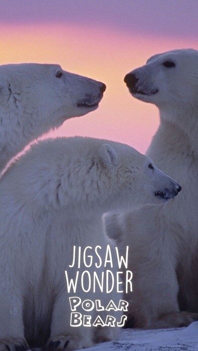 Emulate iPhone app Jigsaw Wonder Polar Bear Puzzles for Kids Free using MyAndroid Emulate iPhone app Jigsaw Wonder Polar Bear Puzzles for Kids Free using MyAndroid