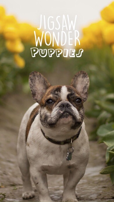 Emulate iPhone app Jigsaw Wonder Puppies Puzzles for Kids Free using MyAndroid Emulate iPhone app Jigsaw Wonder Puppies Puzzles for Kids Free using MyAndroid
