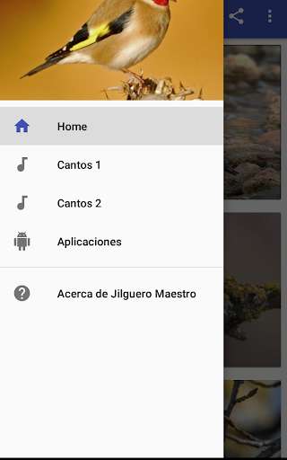 Run android online APK Jilguero Maestro HD from MyAndroid or emulate Jilguero Maestro HD using MyAndroid Run android online APK Jilguero Maestro HD from MyAndroid or emulate Jilguero Maestro HD using MyAndroid