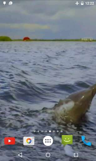 Run android online APK Jumping Dolphin Live Wallpaper from MyAndroid or emulate Jumping Dolphin Live Wallpaper using MyAndroid Run android online APK Jumping Dolphin Live Wallpaper from MyAndroid or emulate Jumping Dolphin Live Wallpaper using MyAndroid