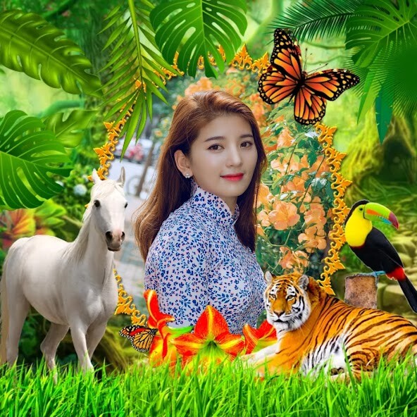 Emulate Android APK Jungle Photo Frame